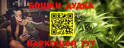 сатива Апшеронск