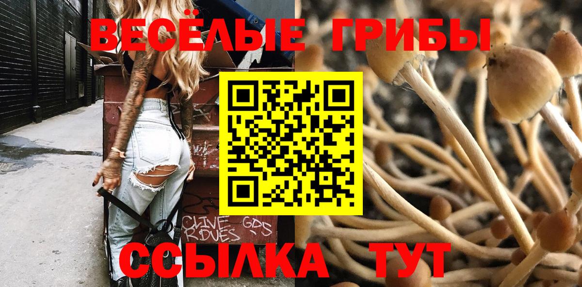 Азнакаево  Галлюциногенные грибы GOLDEN TEACHER  сколько стоит  Псилоцибиновые грибы Psilocybine cubensis  Вход с VPN 